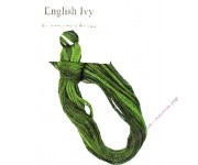 English Ivy (CCT-179)