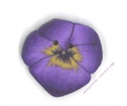 2223.T Крошечные фиолетовые анютины глазки (tiny purple pansy)