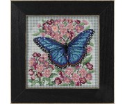 Blue Morpho Butterfly (материалы)