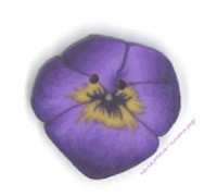 Пуговица 2223.T Крошечные фиолетовые анютины глазки (tiny purple pansy)