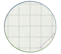 3459/1219 14 к. Белый со смываемой разметкой (White)