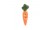 2392 Морковь молодая
